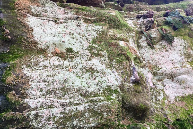 Worden's Ledges Loop trail.